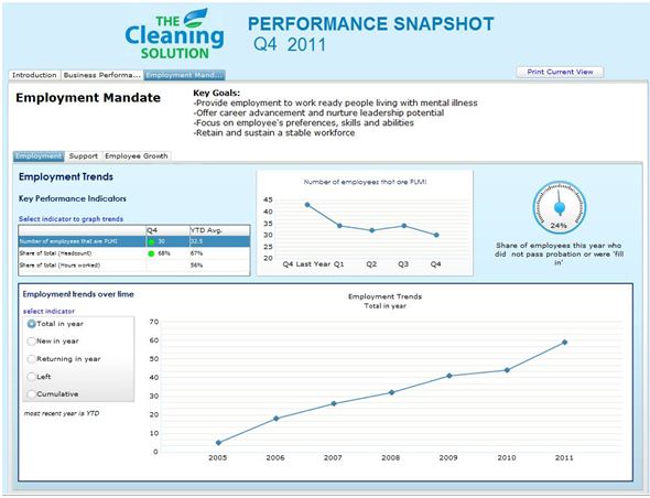 Cleaning Solution snapshot